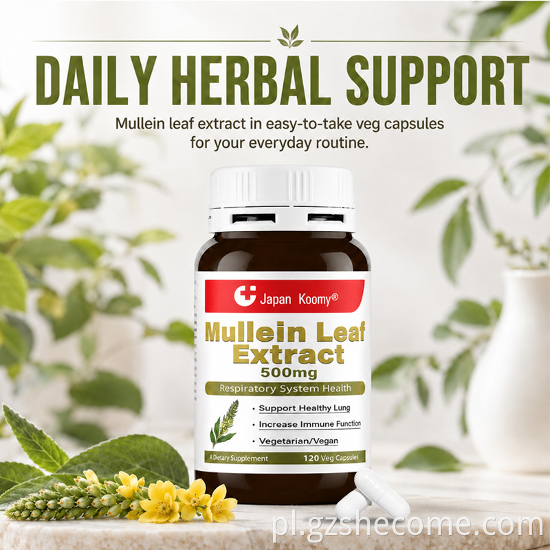 Mullein Leaf Extract Capsules8